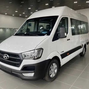 Hyundai Solati D L E5