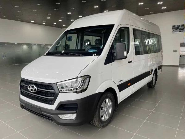 Hyundai Solati D L E5